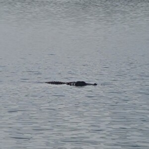 Fiocchi relaxes while Paul shoots